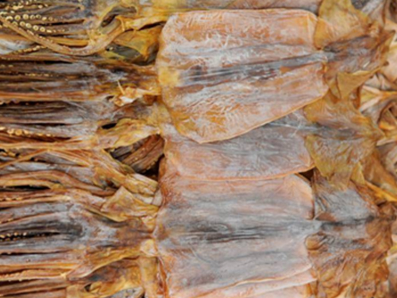 Dried Illex Argentinus