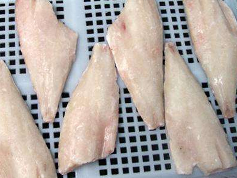 PACIFIC RED FISH FILLET ,SKIN LESS