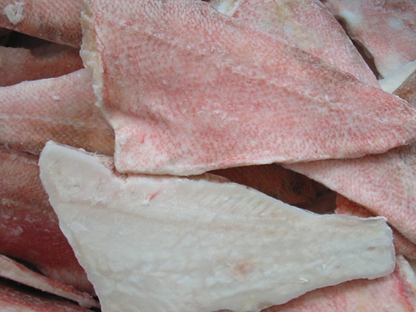 PACIFIC RED FISH FILLET ,SKIN ON