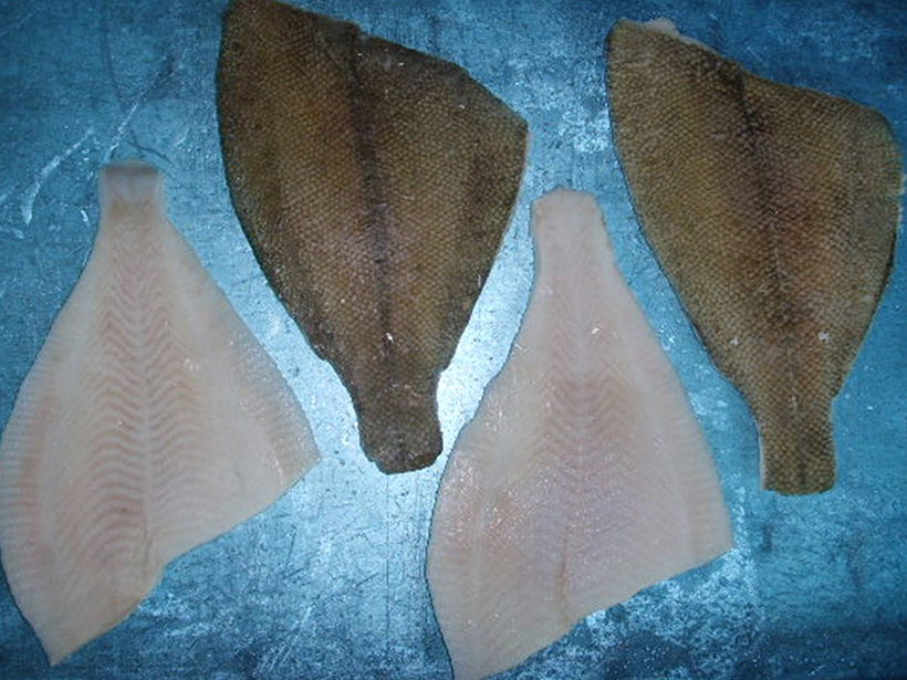YELLOW FIN SOLE HGT