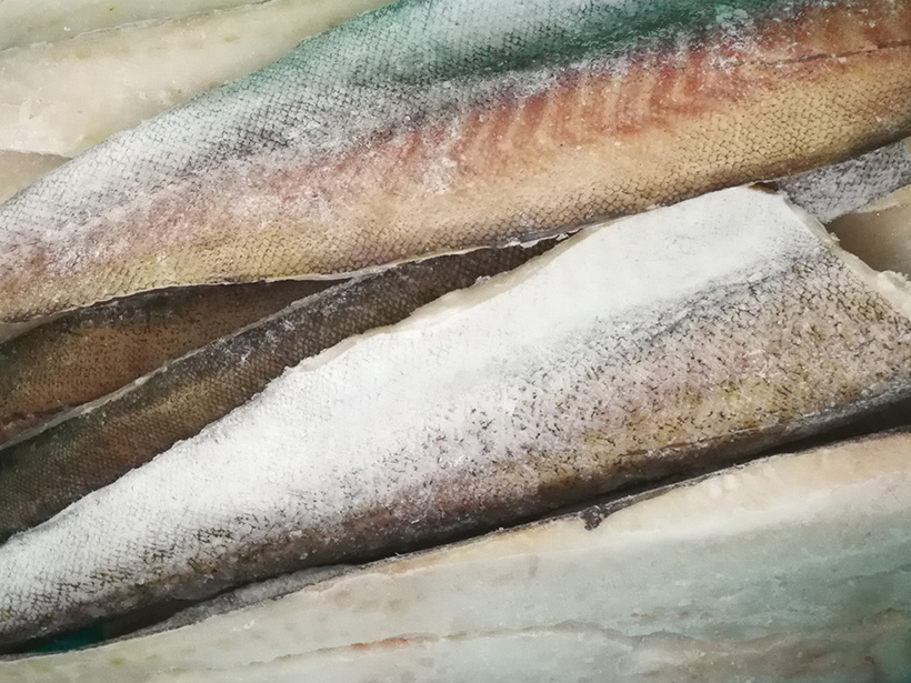 ALASKA POLLOCK FILLETS,SKIN ON