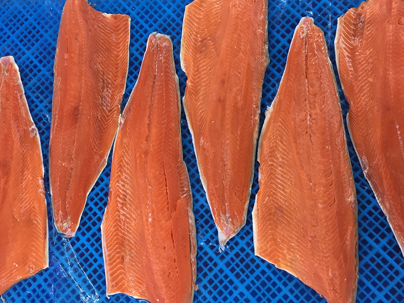 FROZEN SOCKEYE SALMON FILLET ,SKIN ON