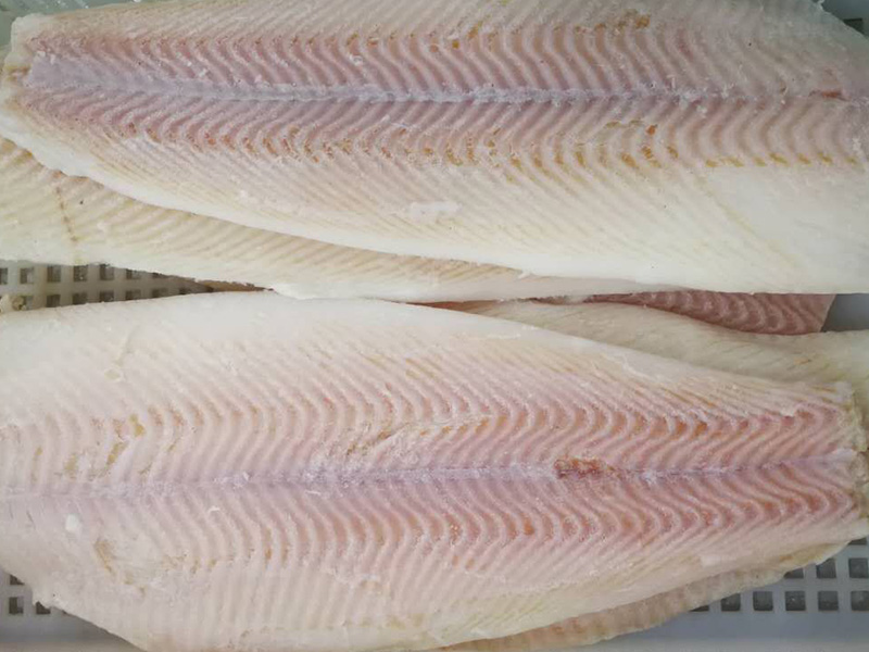 FROZEN GREENLAND HALIBUT FILLET