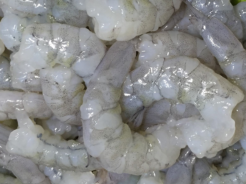 Raw White Shrimp Peeled