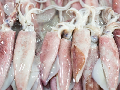 What Is The Nutritional Value Of Squid?
